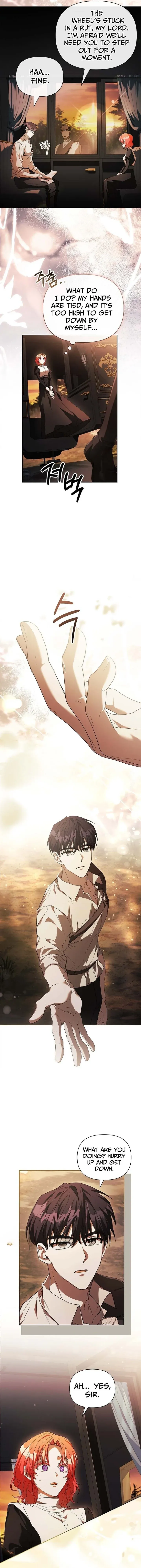 Read About Perfect Revenge Manga Online