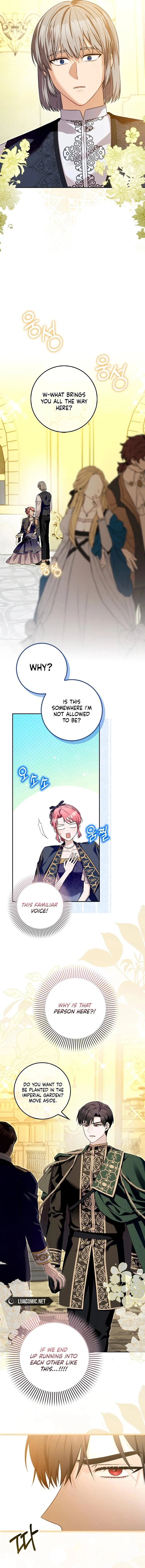 Read Beware Of The Strongest Man Who Is Crazy About Me EN Manga Online