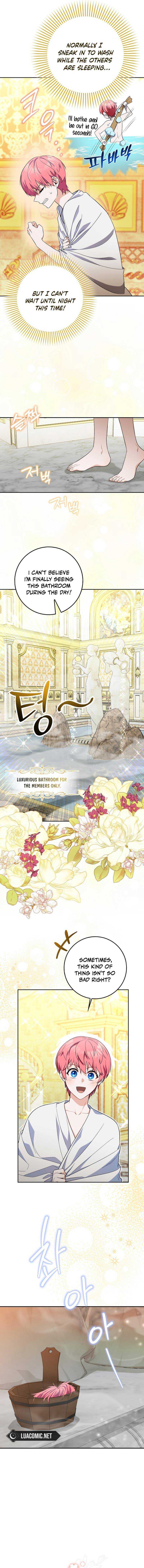 Read Beware Of The Strongest Man Who Is Crazy About Me EN Manga Online