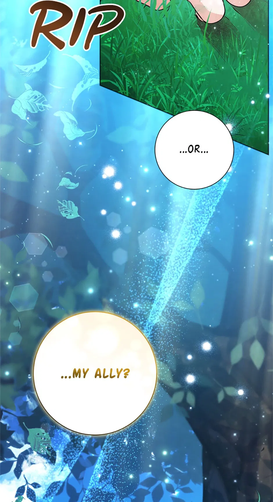 Read Black Killer Whale Baby EN Manga Online