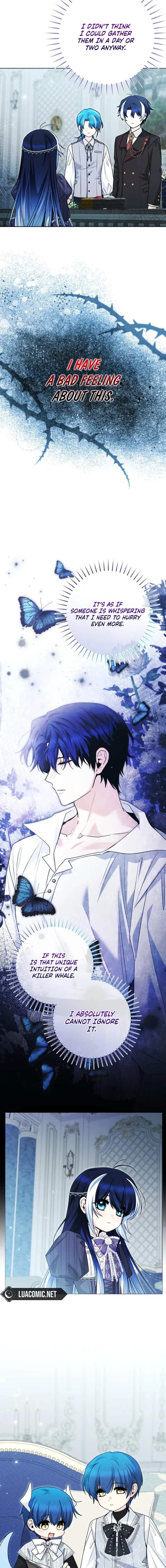 Read Black Killer Whale Baby EN Manga Online