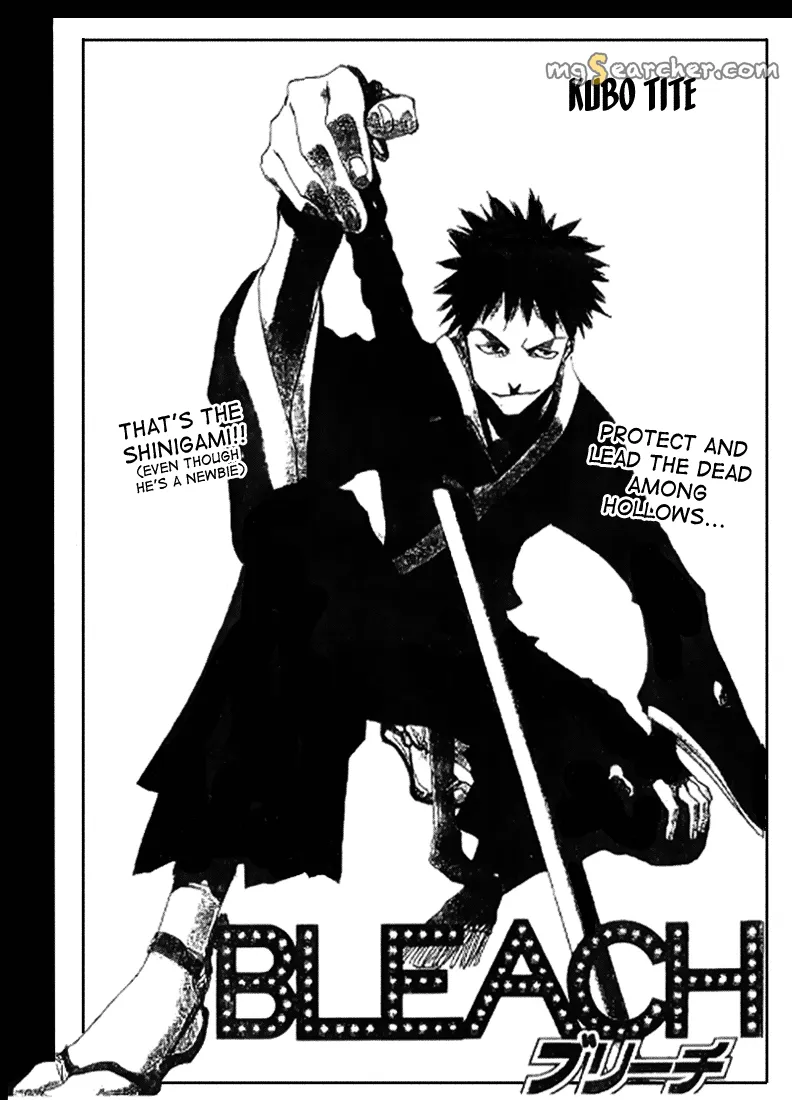 Read Bleach EN Manga Online