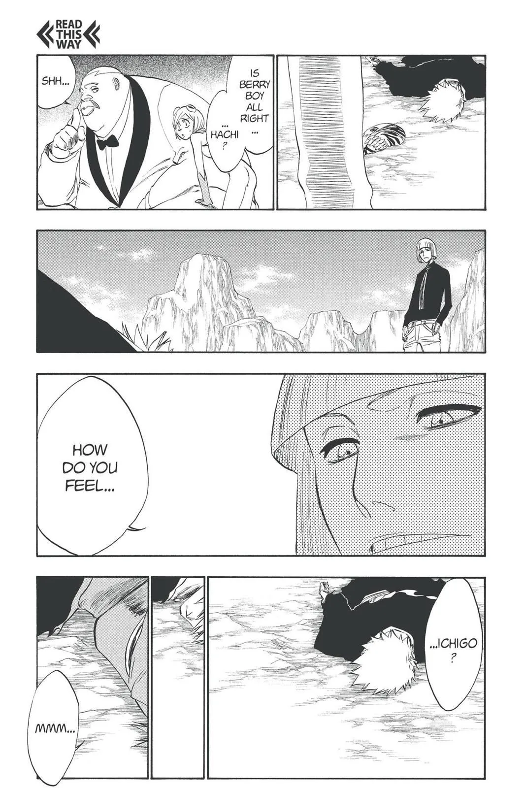 Read Bleach EN Manga Online