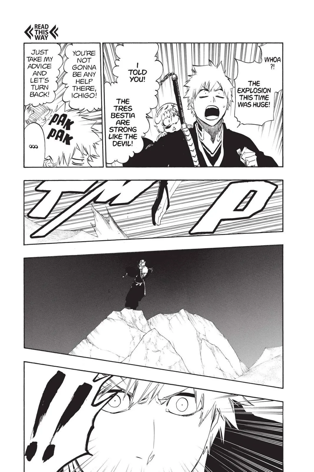 Read Bleach EN Manga Online