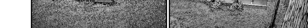 Read Dark Gathering Manga Online