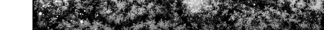 Read Dark Gathering Manga Online