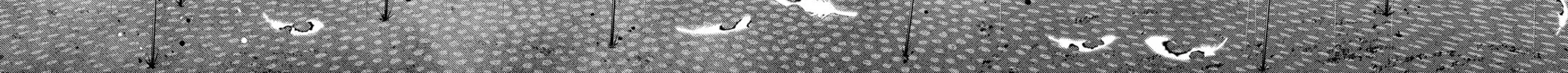 Read Dark Gathering Manga Online