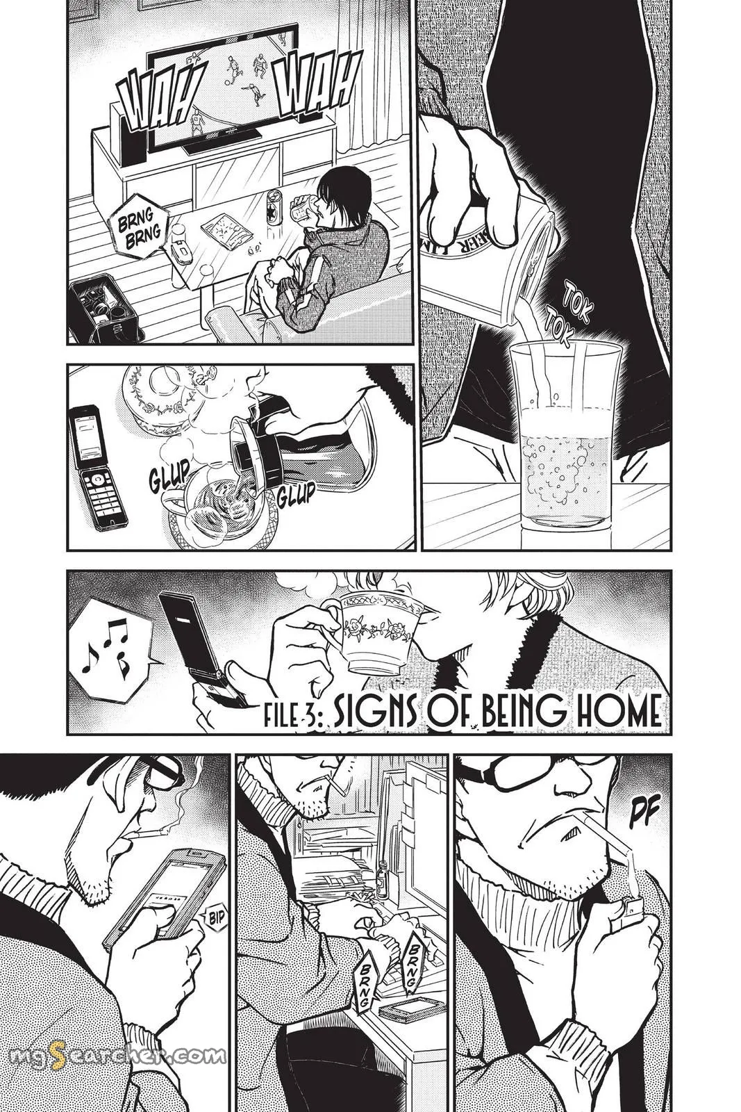 Read Detective Conan EN Manga Online