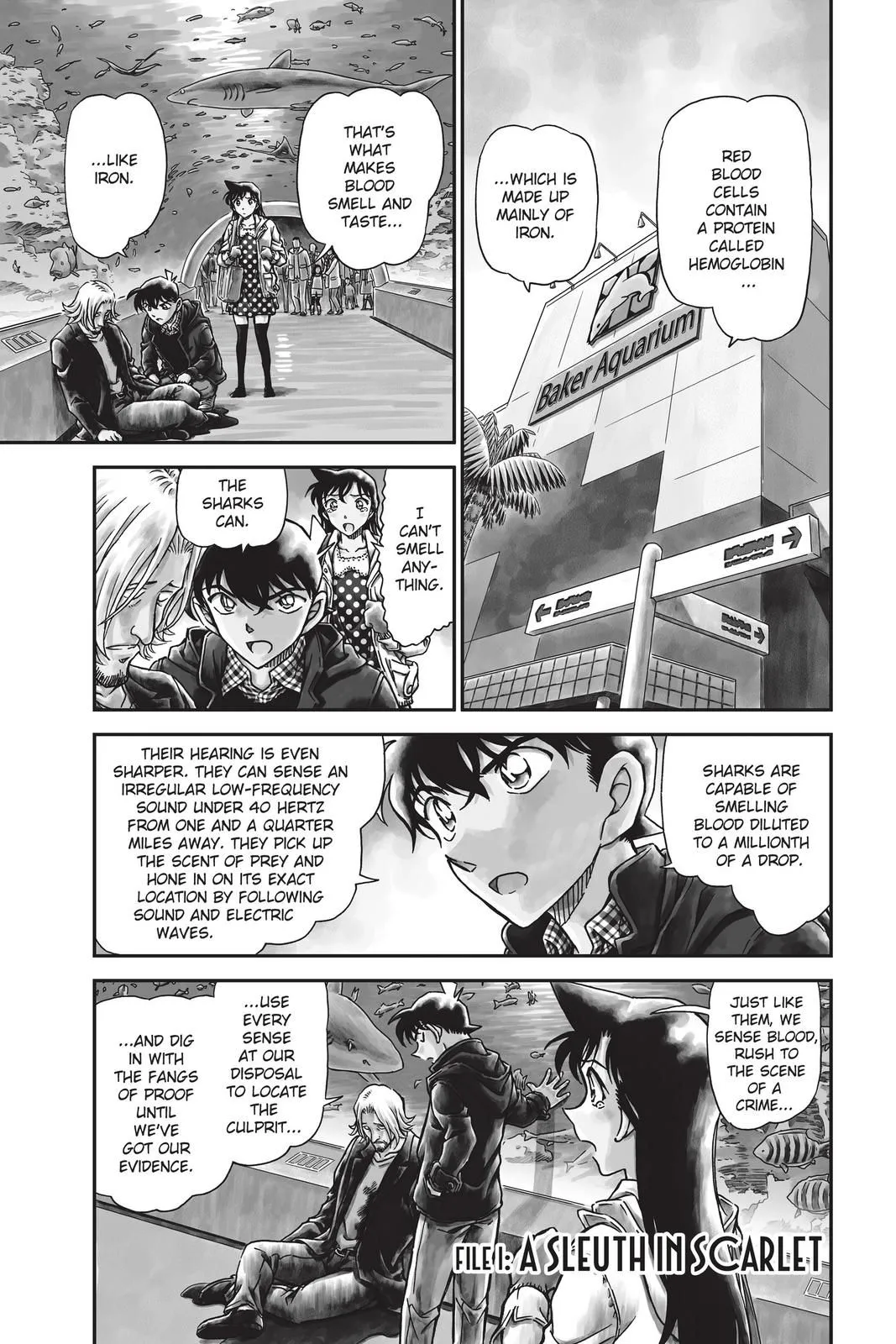 Read Detective Conan EN Manga Online