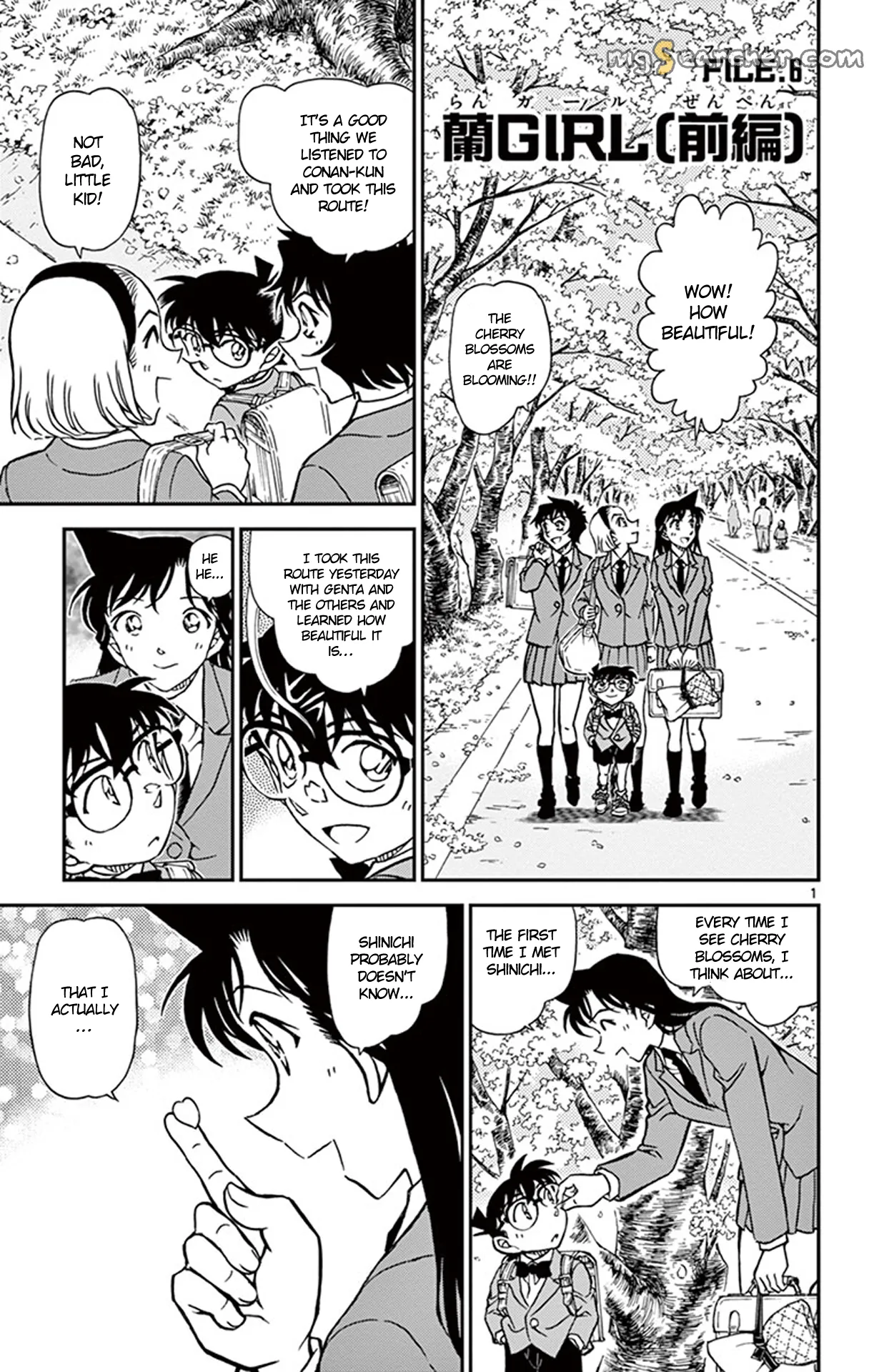 Read Detective Conan EN Manga Online