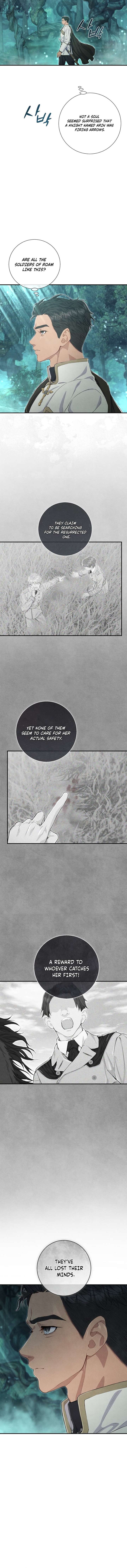 Read Don’t Look for the Resurrected Villainess Manga Online