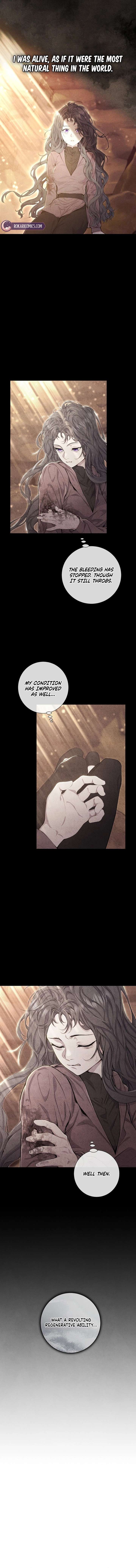 Read Don’t Look for the Resurrected Villainess Manga Online