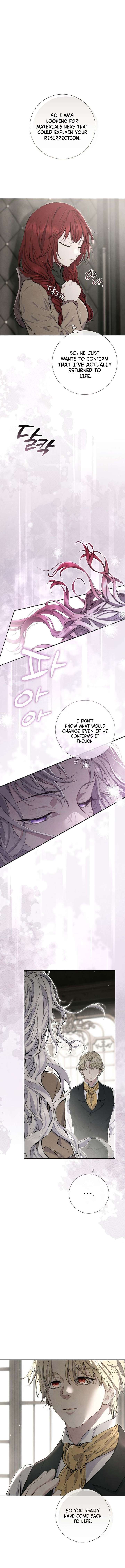 Read Don’t Look for the Resurrected Villainess Manga Online