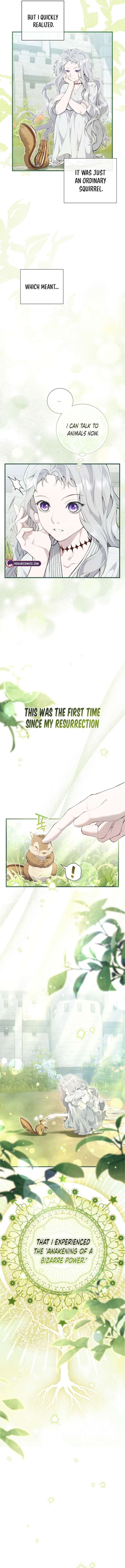 Read Don’t Look for the Resurrected Villainess Manga Online