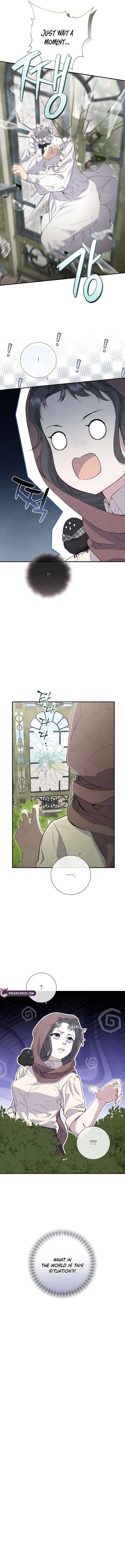 Read Don’t Look for the Resurrected Villainess Manga Online