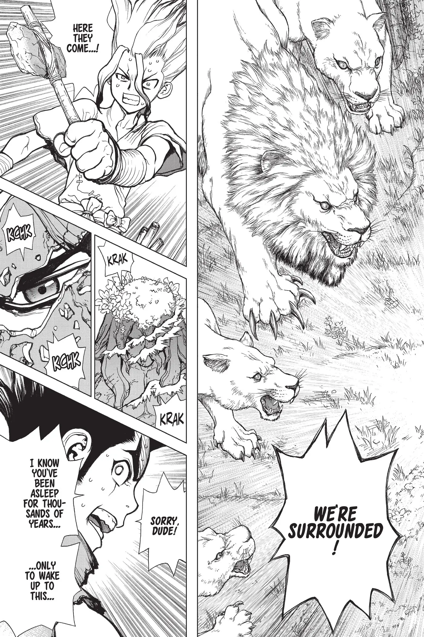 Read Dr. STONE EN Manga Online
