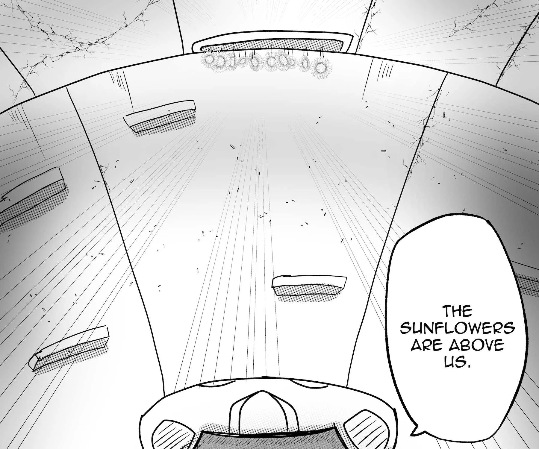 Read Dragon Tofu Manga Online