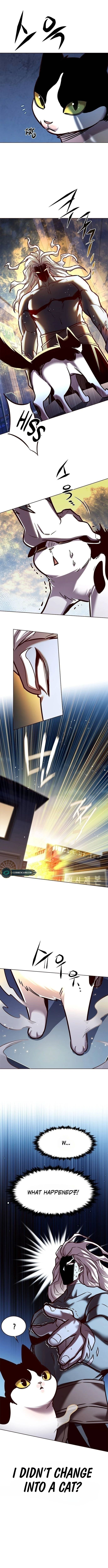 Read Eleceed EN Manga Online