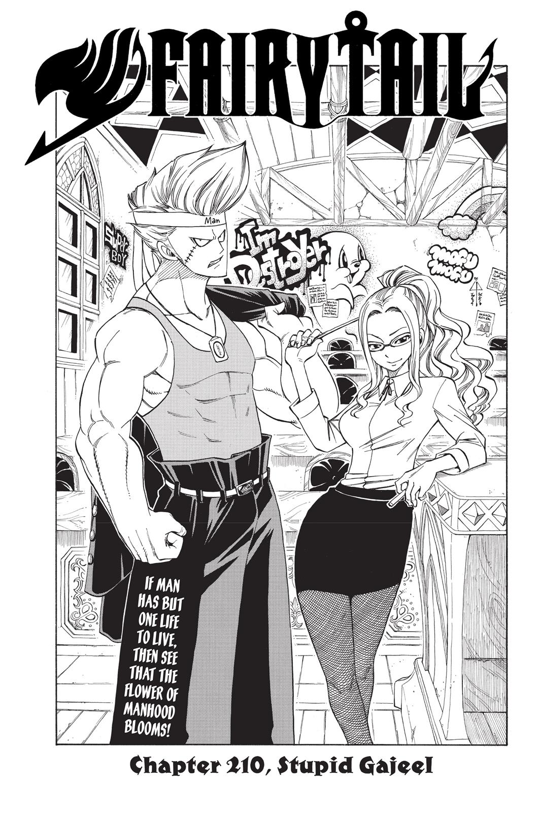Read Fairy Tail EN Manga Online