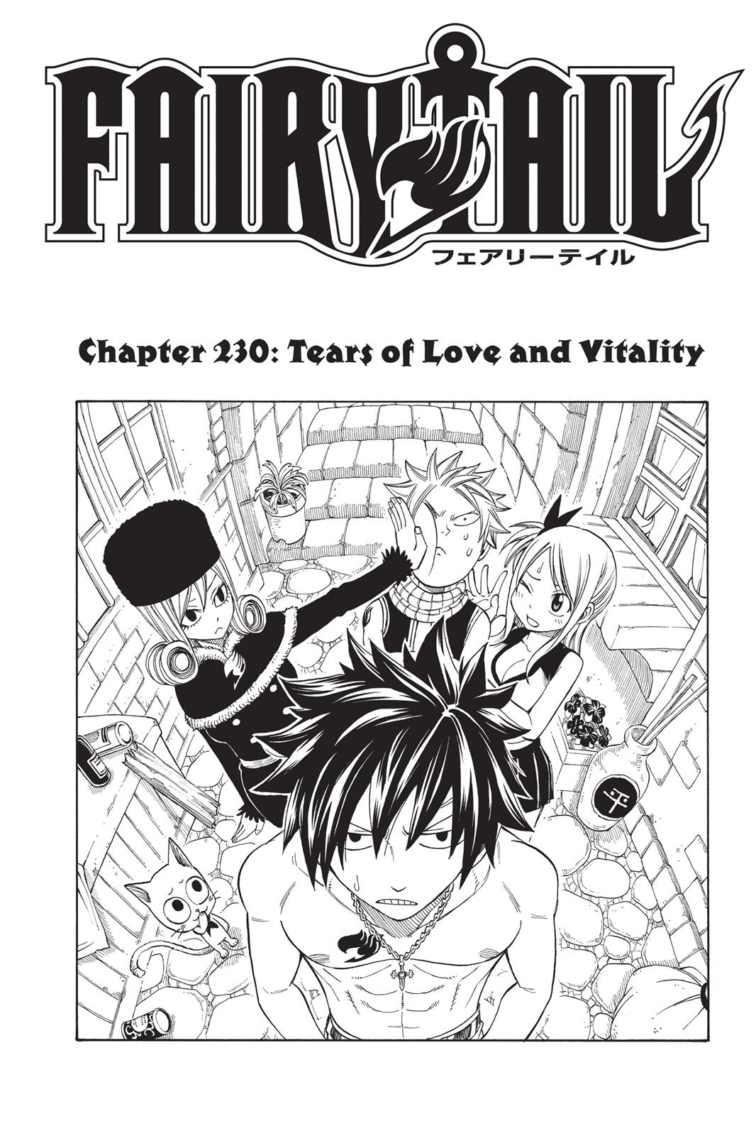 Read Fairy Tail EN Manga Online