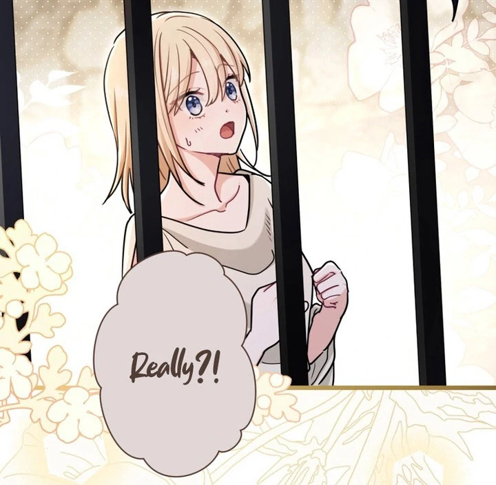 Read Forget That Night, Your Majesty EN Manga Online