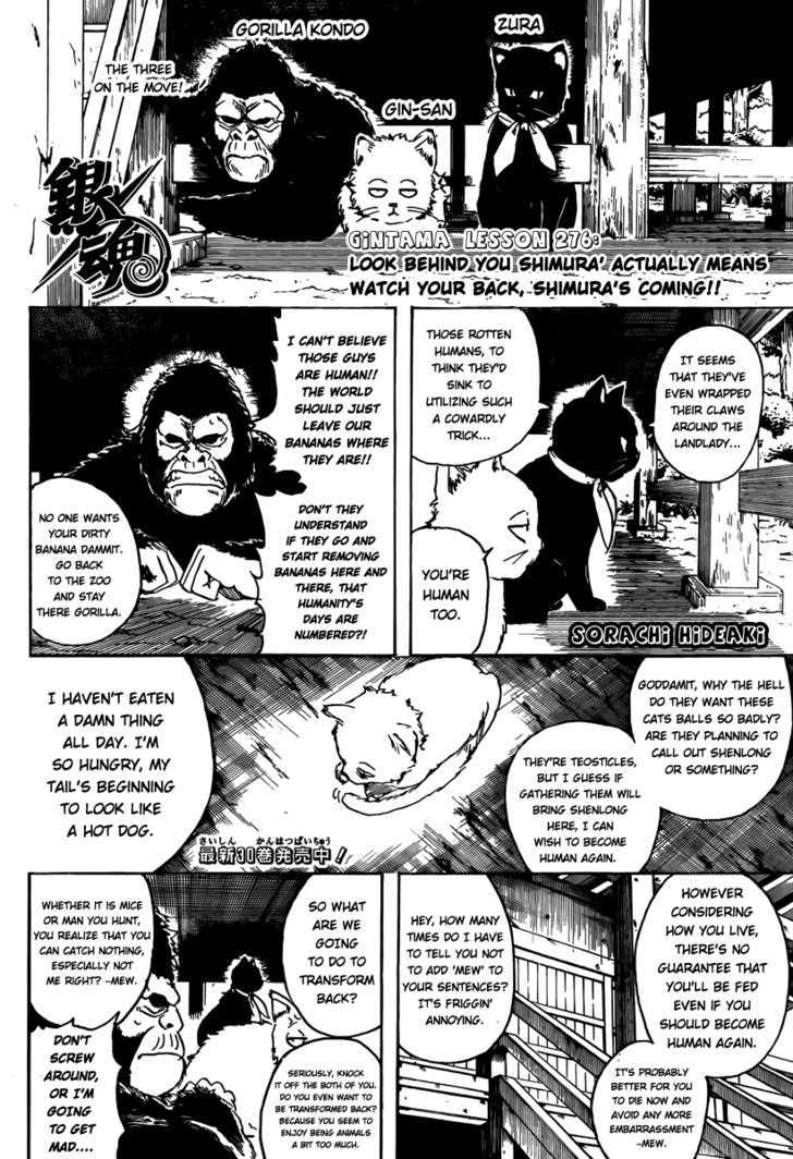 Read Gintama EN Manga Online