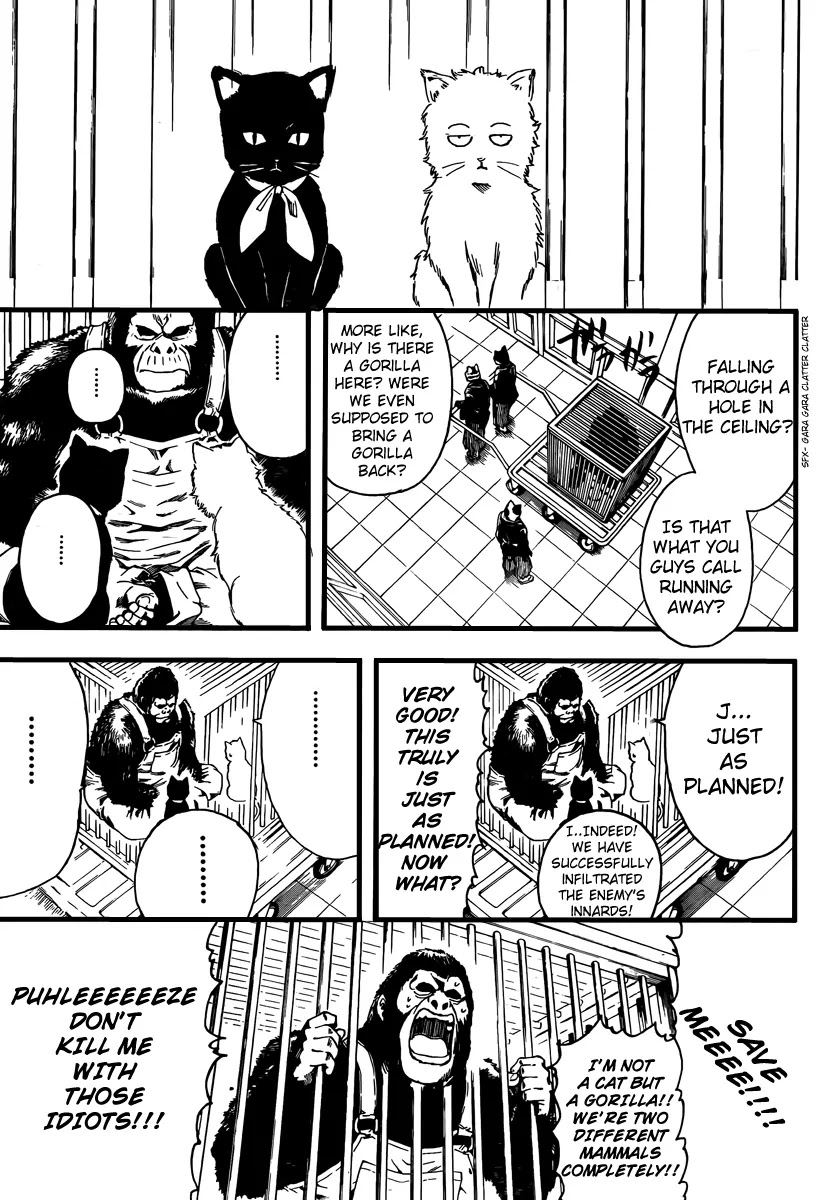 Read Gintama EN Manga Online