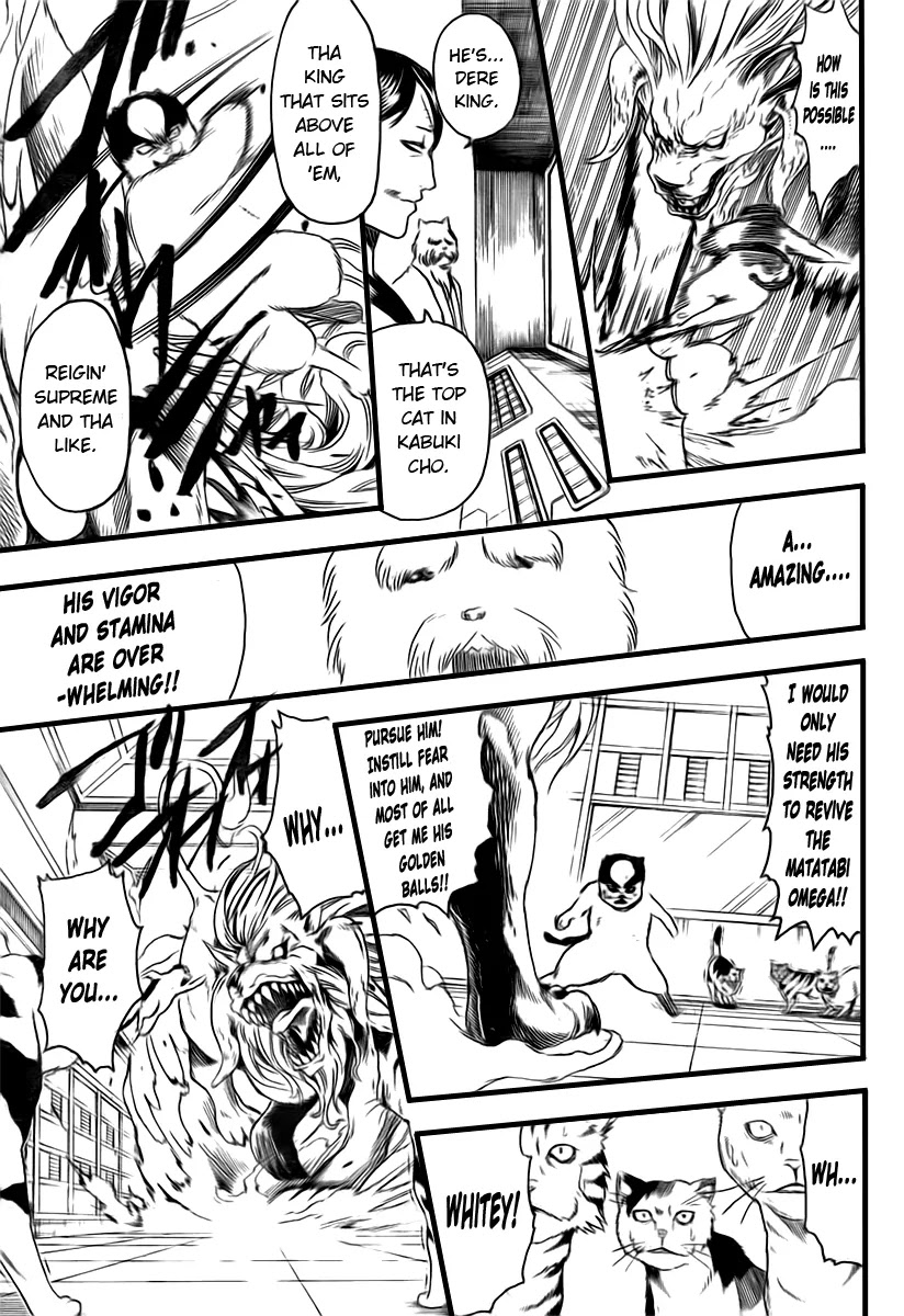 Read Gintama EN Manga Online