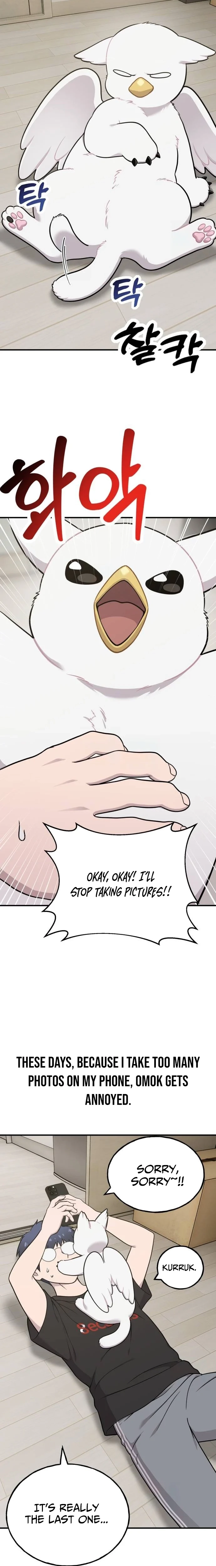 Read Hello, Griffin the Fluffy Bird! EN Manga Online
