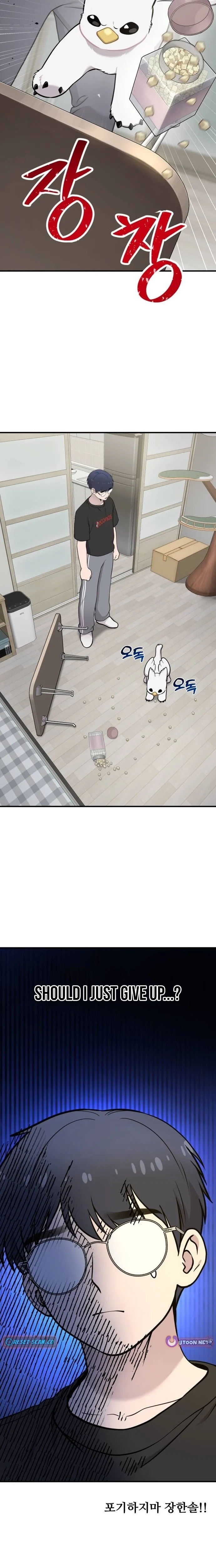 Read Hello, Griffin the Fluffy Bird! EN Manga Online