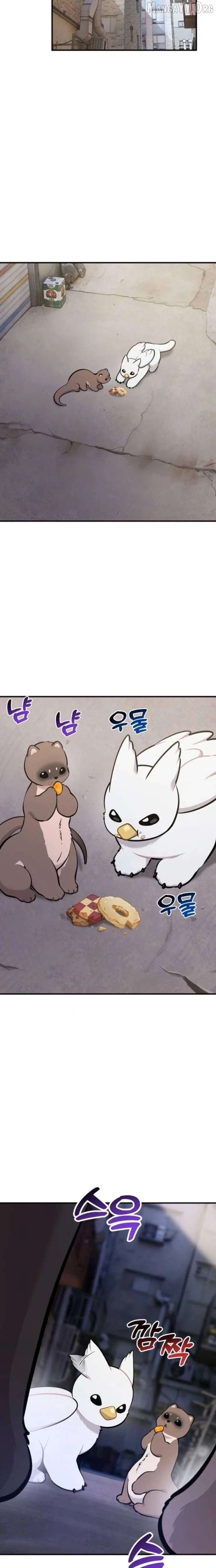 Read Hello, Griffin the Fluffy Bird! EN Manga Online