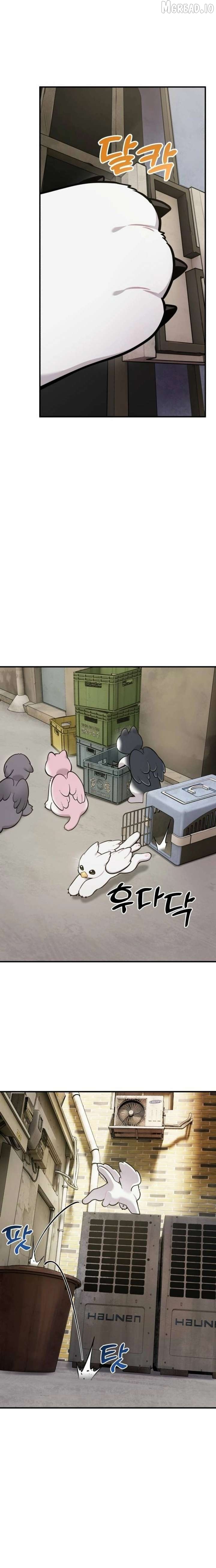 Read Hello, Griffin the Fluffy Bird! EN Manga Online