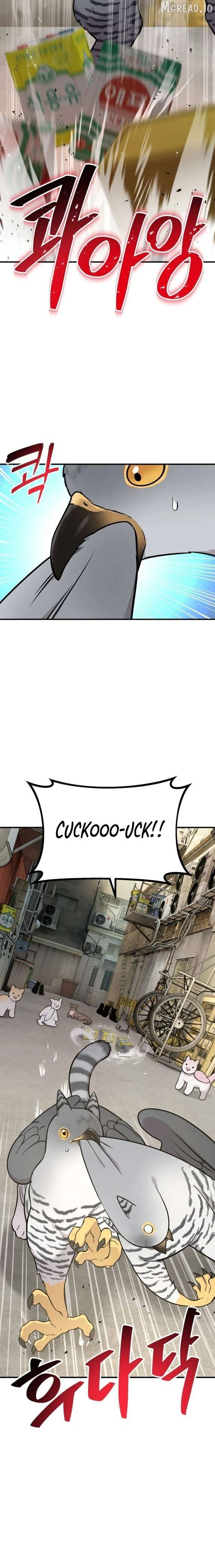 Read Hello, Griffin the Fluffy Bird! EN Manga Online