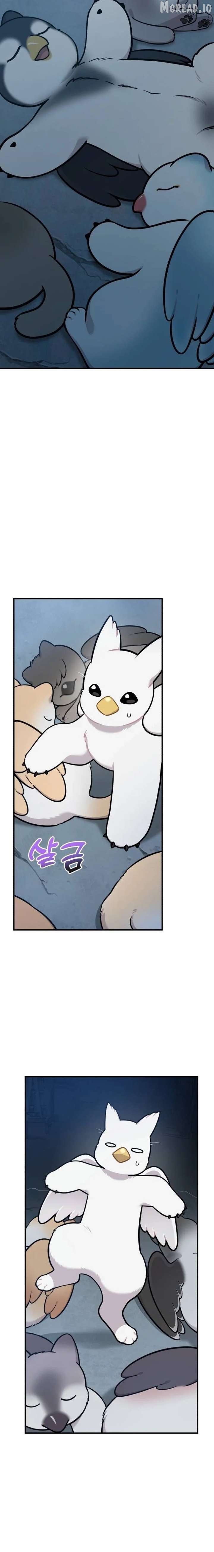 Read Hello, Griffin the Fluffy Bird! EN Manga Online