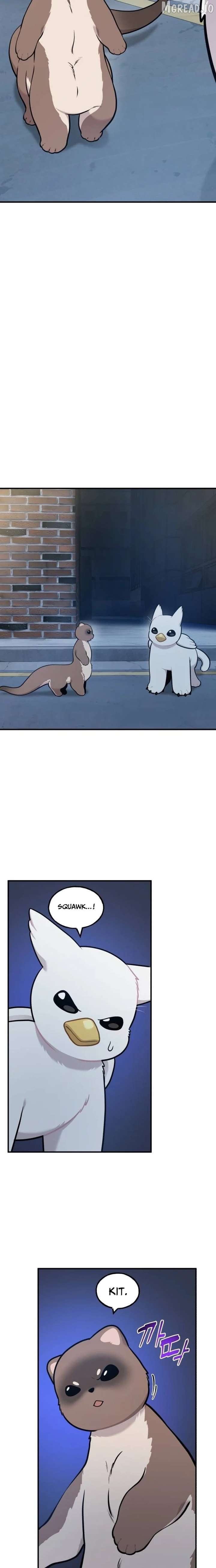 Read Hello, Griffin the Fluffy Bird! EN Manga Online