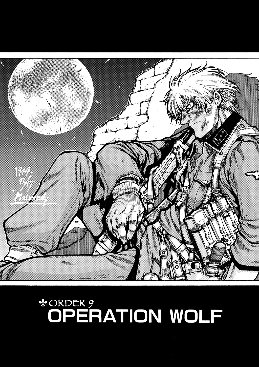 Read Hellsing EN Manga Online