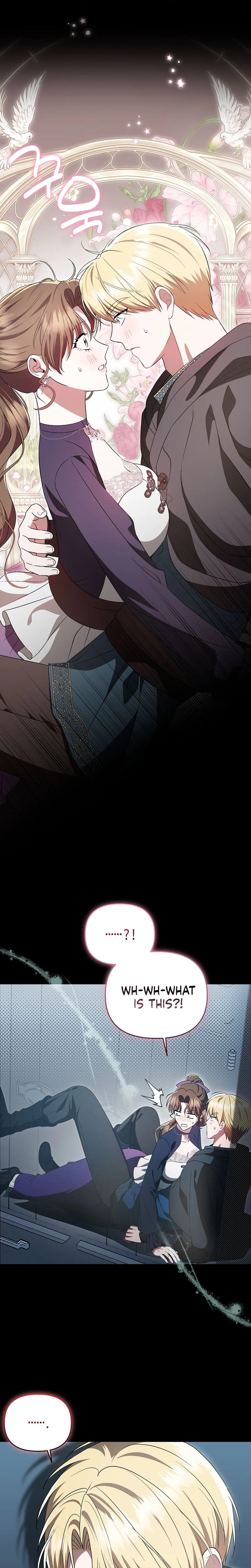 Read I Stole the Trash Crown Prince’s First Night EN Manga Online