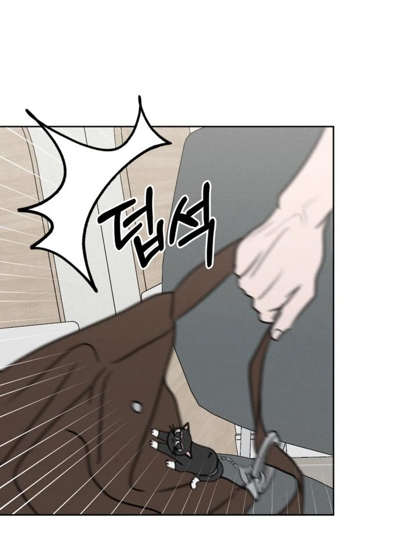 Read I Want To Be Fooled EN Manga Online