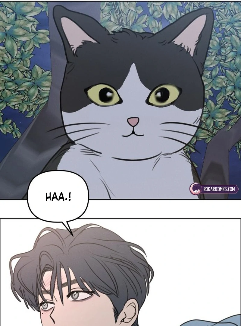 Read I Want To Be Fooled EN Manga Online