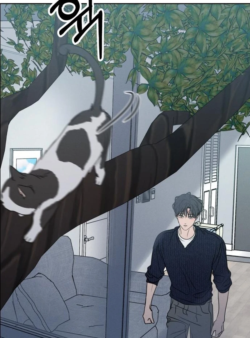 Read I Want To Be Fooled EN Manga Online