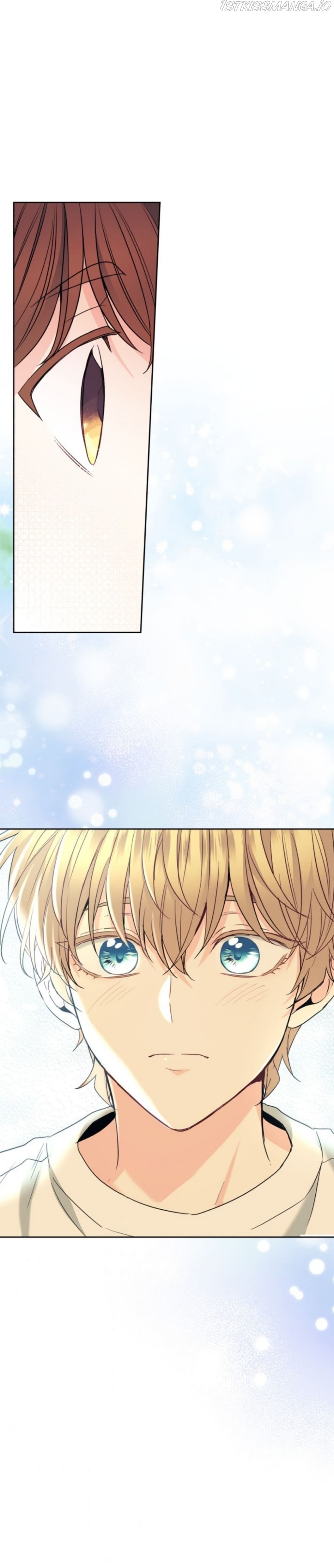 Read Inso’s Law Manga Online
