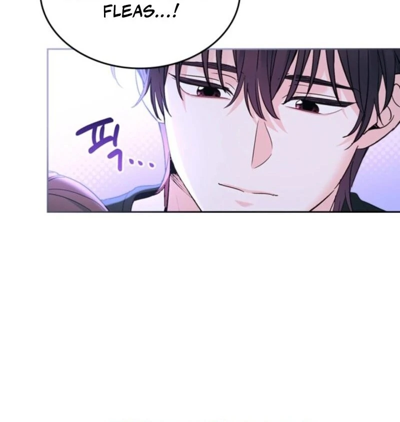 Read Inso’s Law Manga Online