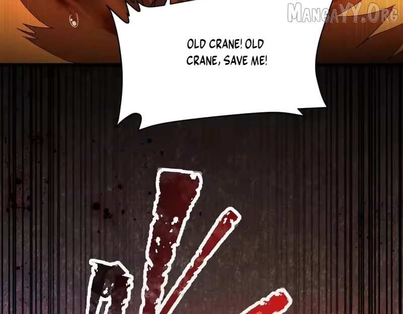 Read Invincible After Shocking My Empress Wife Manga Online