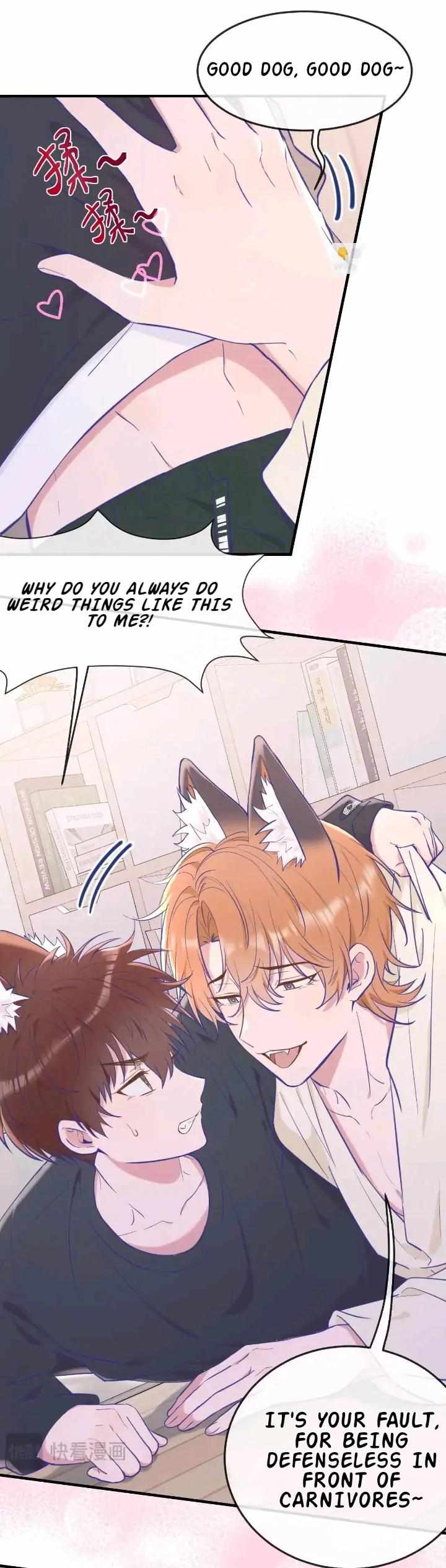 Read Lying Puppies Get Eaten Manga Online