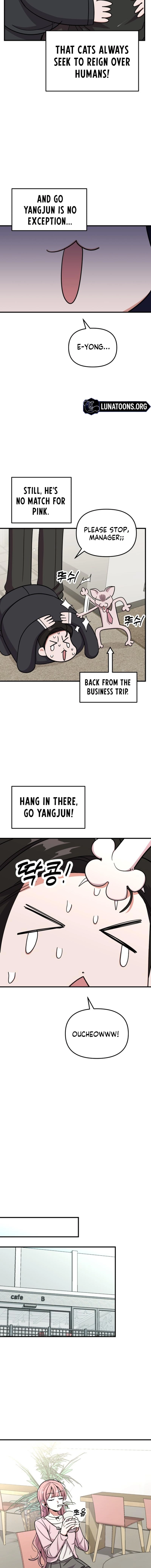 Read My Boyfriend Is a Cat EN Manga Online