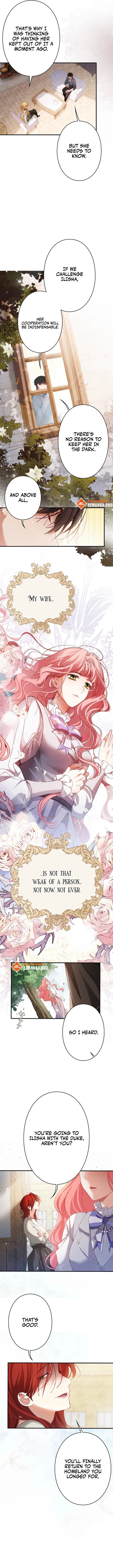 Read My Contractually Married Husband Wants Me EN Manga Online