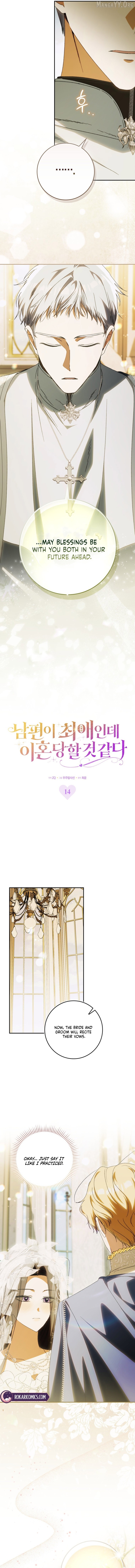 Read My Husband Is My Ultimate Bias, but I Think He Wants a Divorce EN Manga Online
