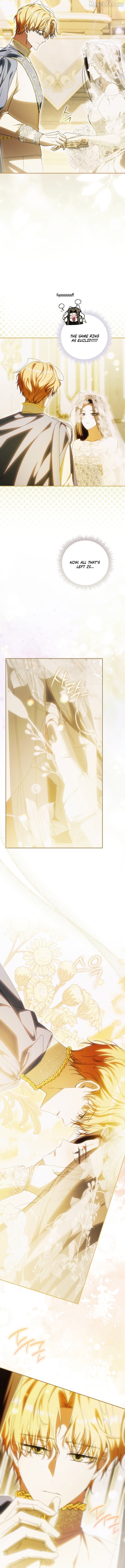 Read My Husband Is My Ultimate Bias, but I Think He Wants a Divorce EN Manga Online