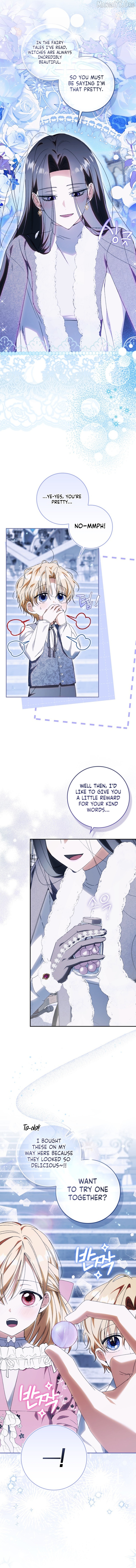 Read My Husband Is My Ultimate Bias, but I Think He Wants a Divorce EN Manga Online