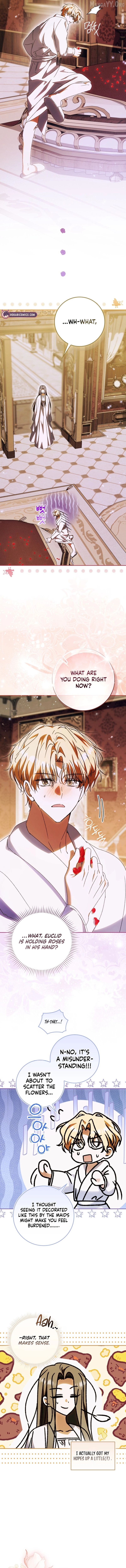 Read My Husband Is My Ultimate Bias, but I Think He Wants a Divorce EN Manga Online
